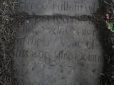 image of grave number 433345